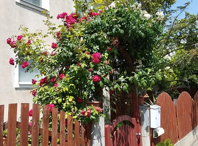 Lejlighed Bei Wien -1 *